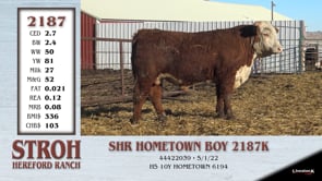 Lot #2187 - SHR HOMETOWN BOY 2187K