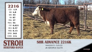 Lot #2216 - SHR ADVANCE 2216K