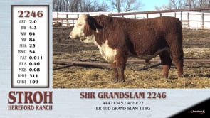 Lot #2246 - SHR GRANDSLAM 2246