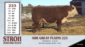 Lot #223 - SHR GREAT PLAINS 223