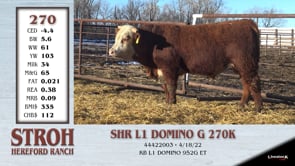 Lot #270 - SHR L1 DOMINO G 270K