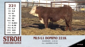 Lot #221 - OUT - MLS- L1 DOMINO 221K