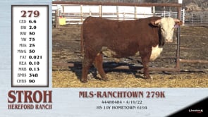Lot #279 - MLS-RANCHTOWN 279K