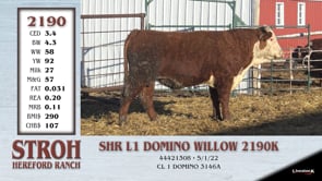 Lot #2190 - SHR L1 DOMINO WILLOW 2190K