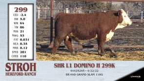 Lot #299 - SHR L1 DOMINO H 299K