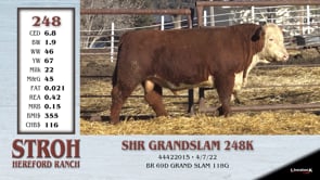 Lot #248 - SHR GRANDSLAM 248K