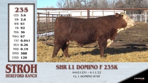 Lot #235 - SHR L1 DOMINO F 235K