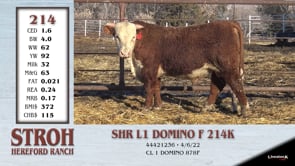 Lot #214 - SHR L1 DOMINO F 214K