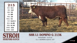 Lot #213 - SHR L1 DOMINO G 213K