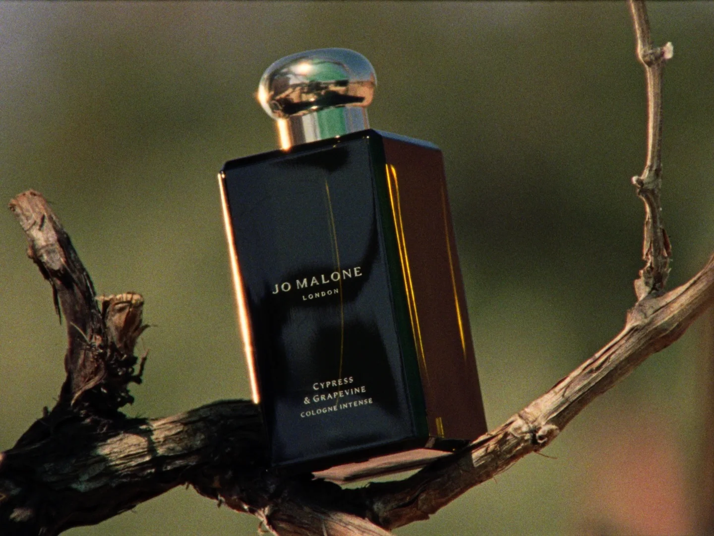 Jo Malone 'Cologne Intense' Cypress & Grapevine