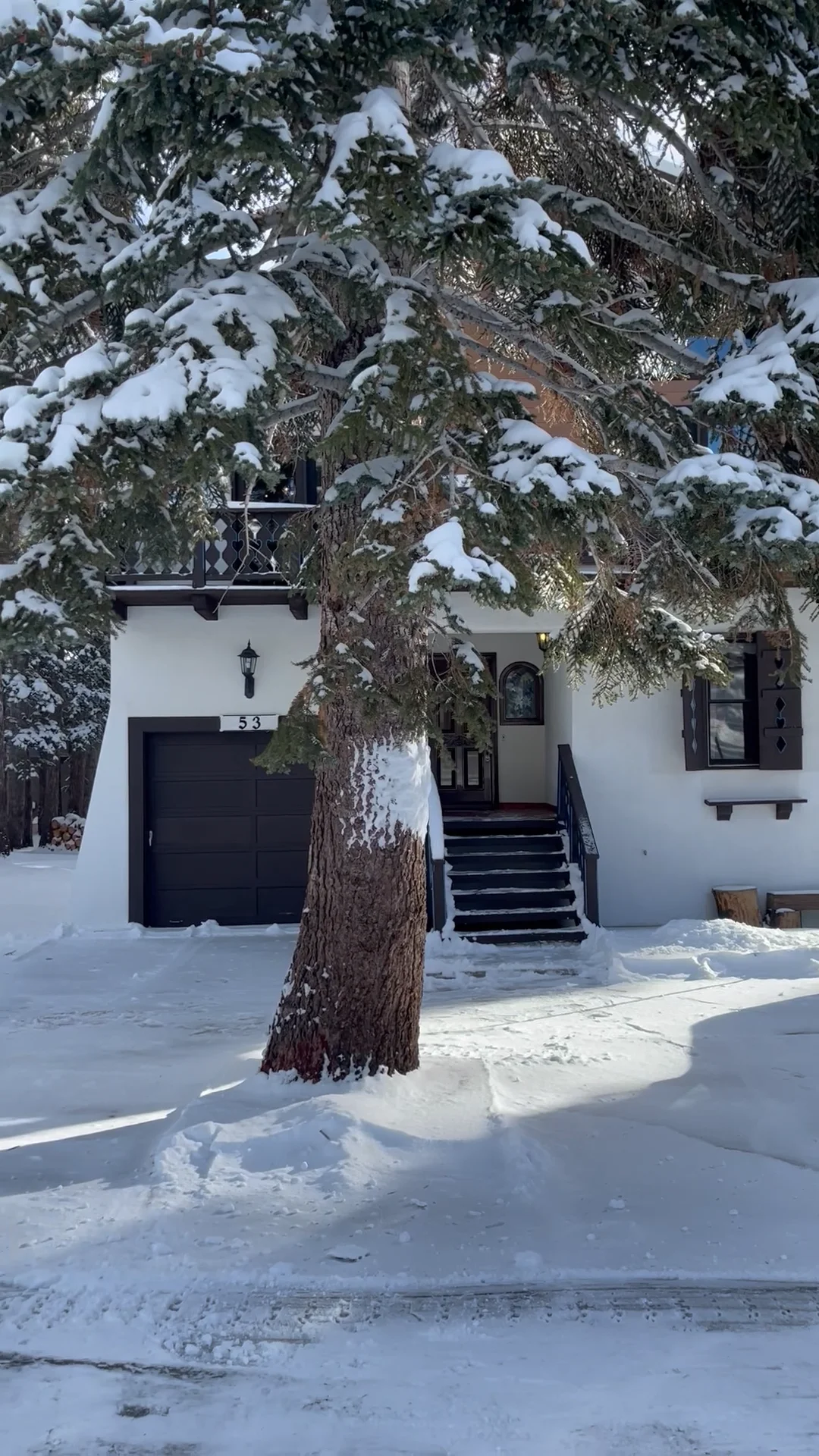 53 Twin Lakes Ln