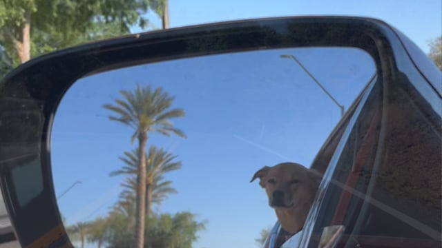 Topanga Side Eye - "Astray"