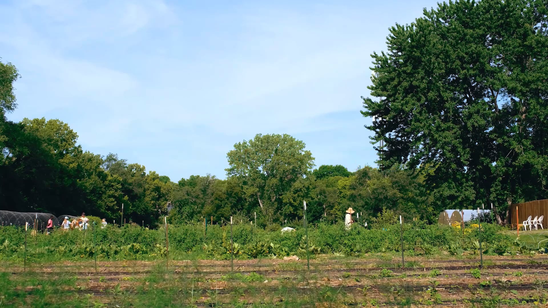 This is KC Farm School