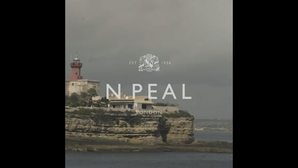 Preview image for video N.PEAL_case_BTS_6