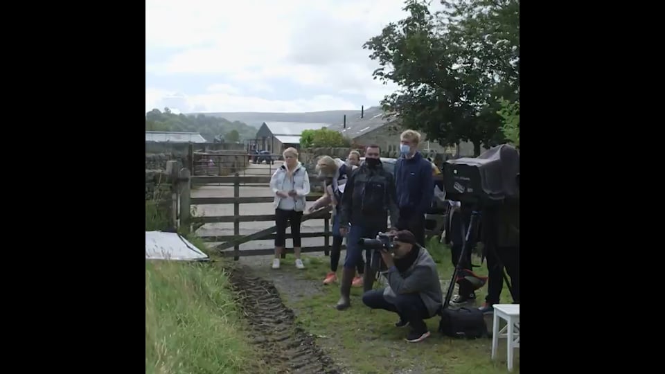 Preview image for video N.PEAL_case_BTS_4