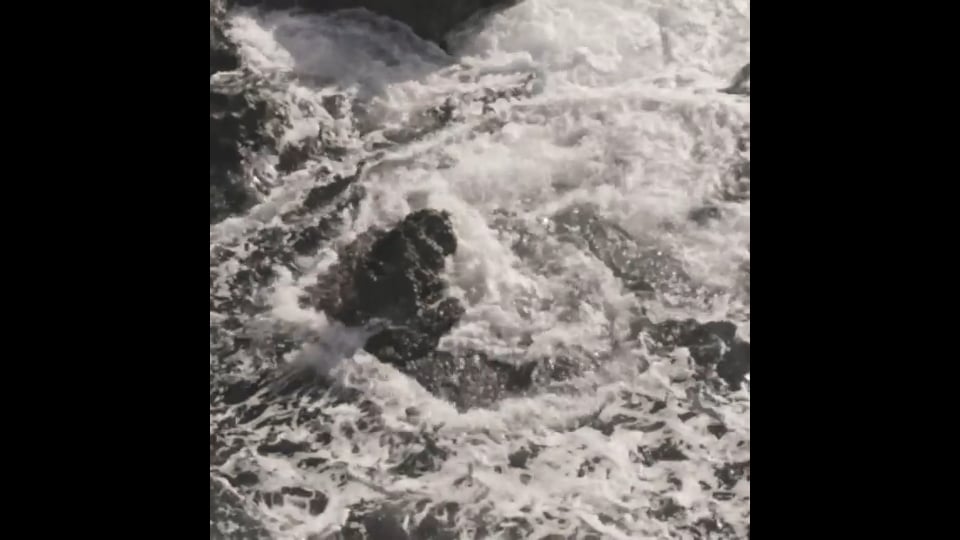 Preview image for video N.PEAL_case_BTS_8