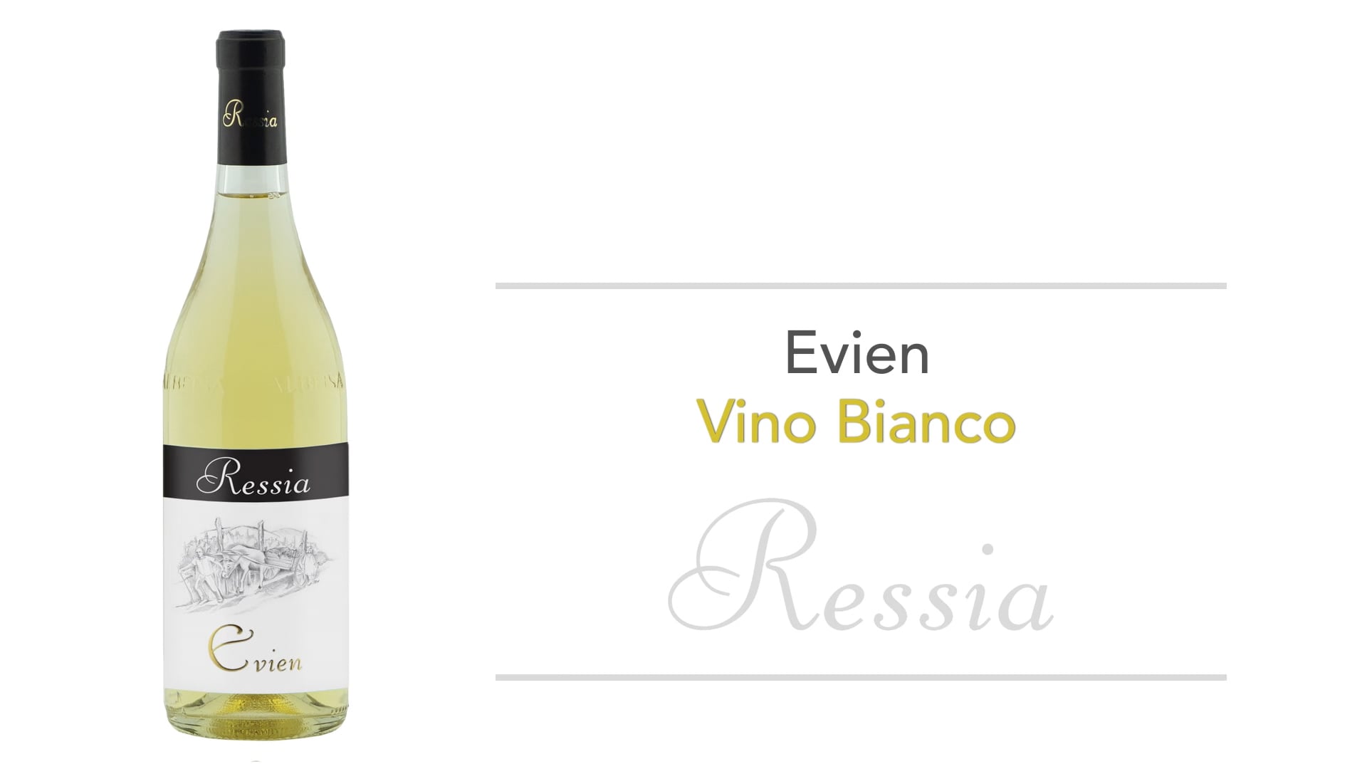 Evien Vino Bianco