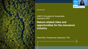 Keynote: Diana Diaz Castro, Program Supervisor, Principles for Sustainable Insurance, UNEP FI