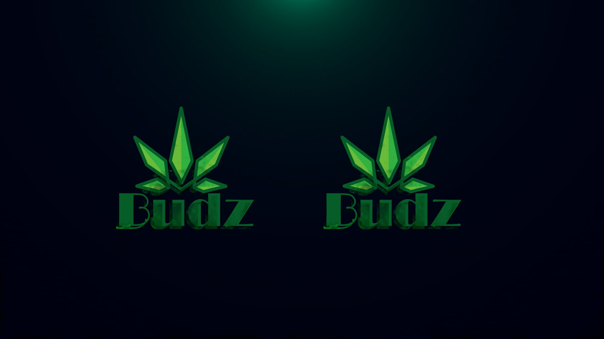 Budz Promo 2.mp4