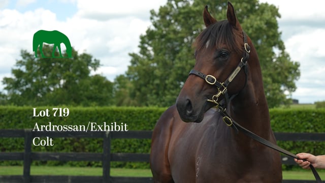 Lot 719