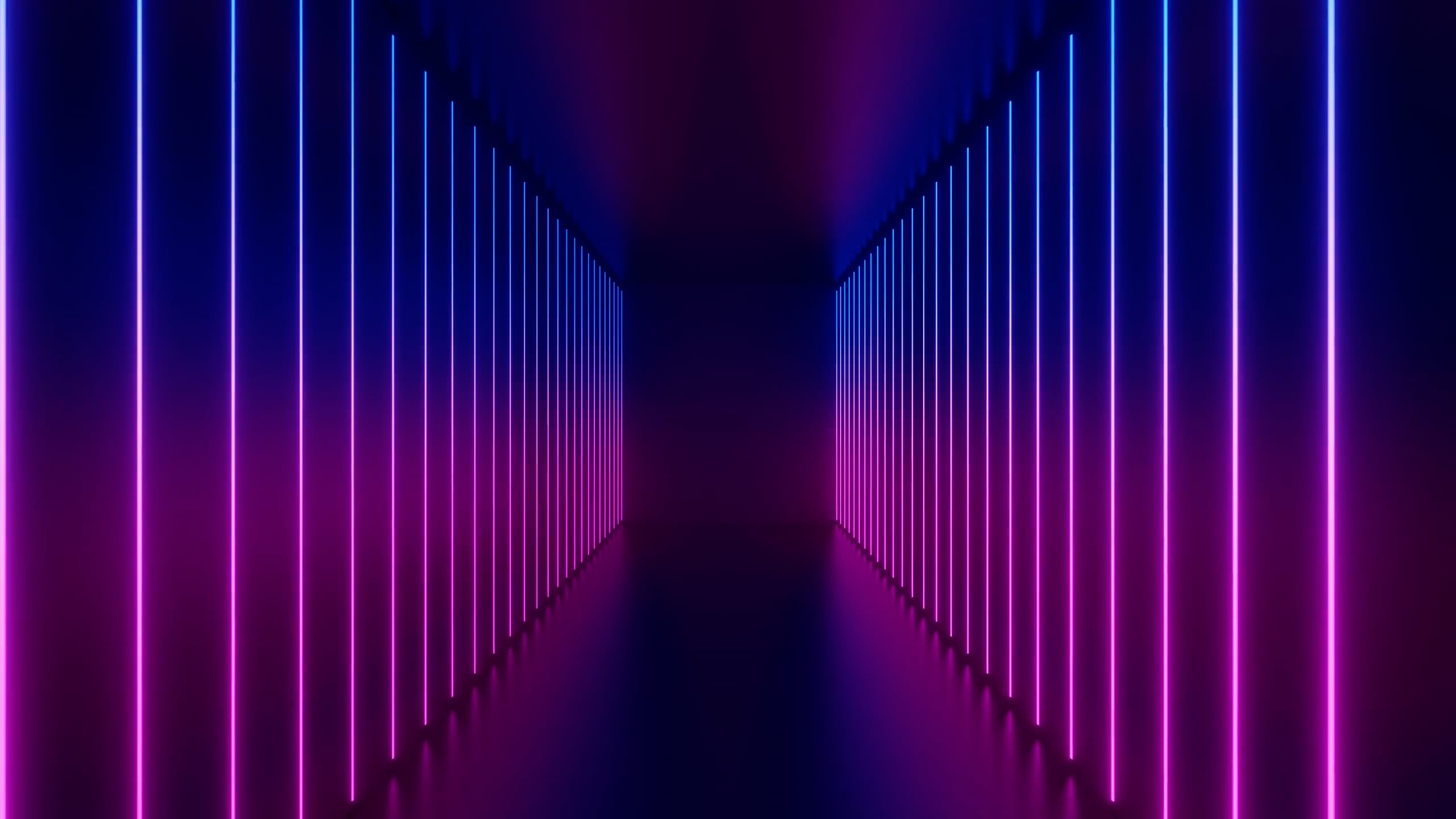 https://i.vimeocdn.com/video/1778402726-34d3baced62a07bedac91d7e9f90ddcb074e443aa1eef1163118619e699b59a6-d
