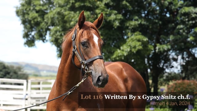 Lot 116