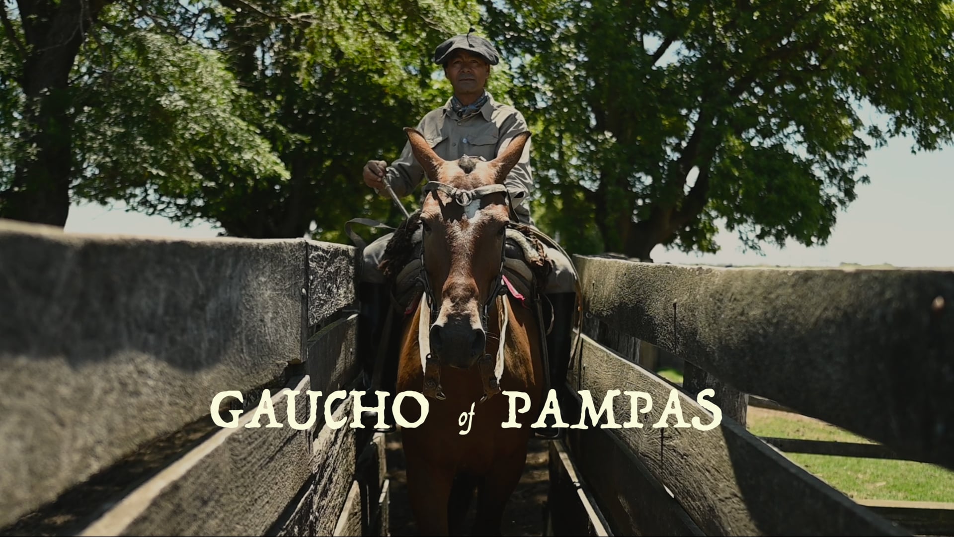 Gaucho of Pampas