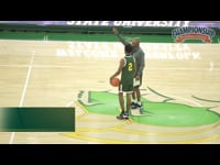 Preview Video #1