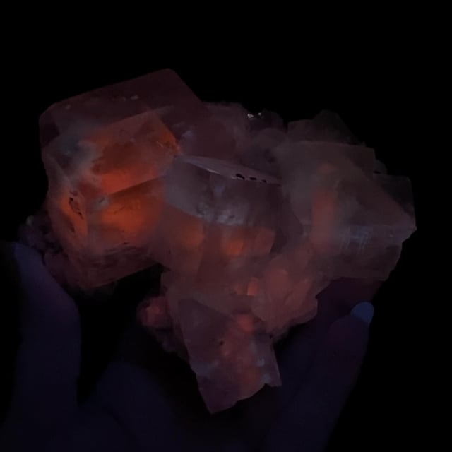 Calcite (fine quality) (fluorescent)