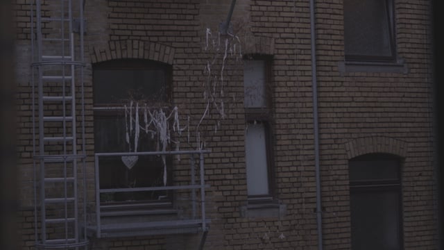 Pipo: Morning Video Moods