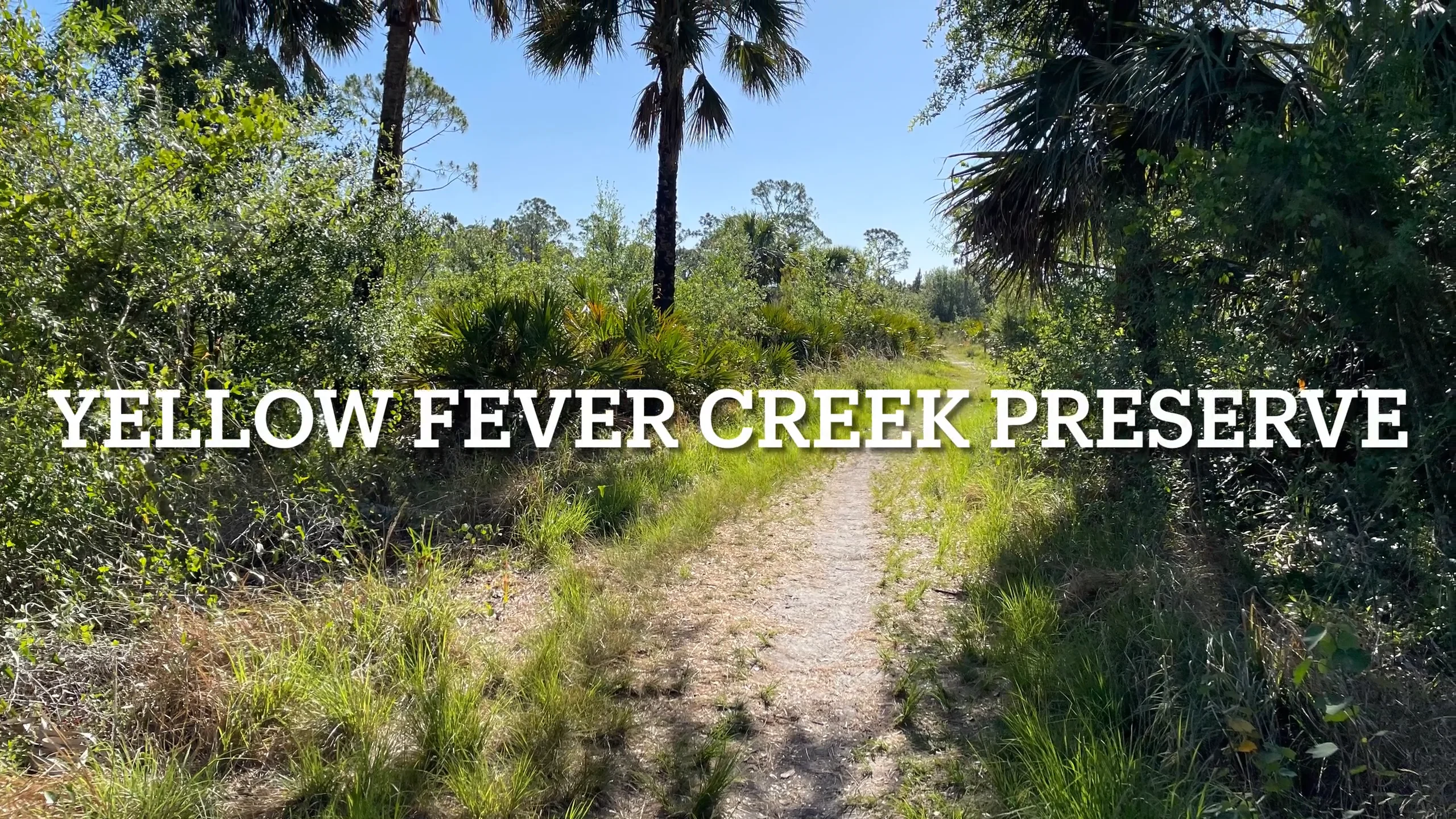Yellow Fever Creek Preserve on Vimeo