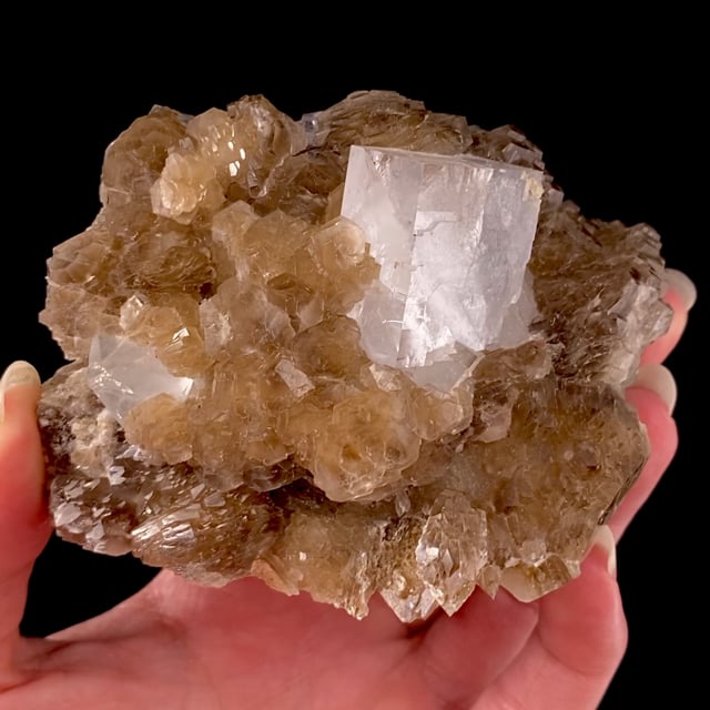 Fluorite (colorless) on Calcite