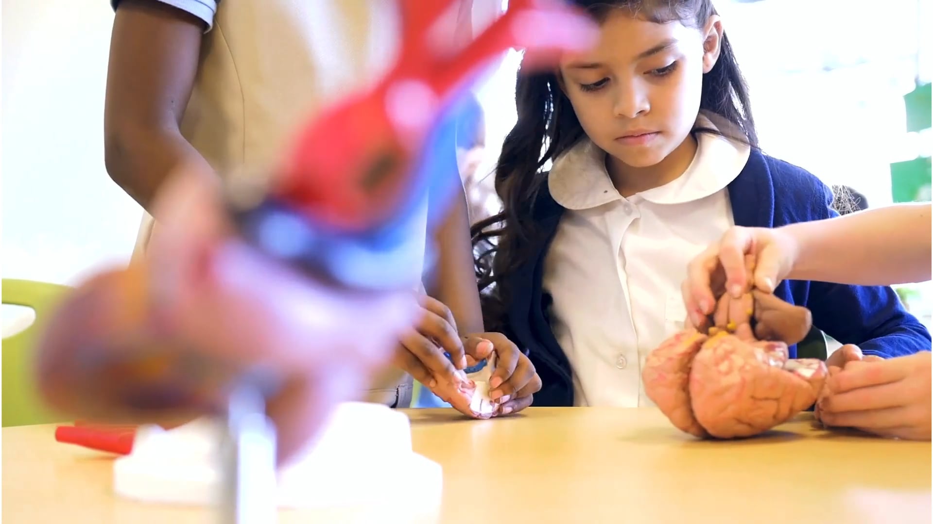 Top Charities to Donate to for Alzheimer's Education