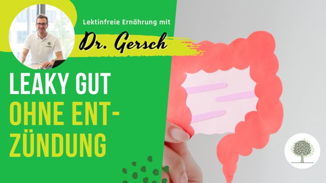 Leaky Gut ohne Entzündung 