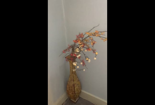 Small double room  Main Photo