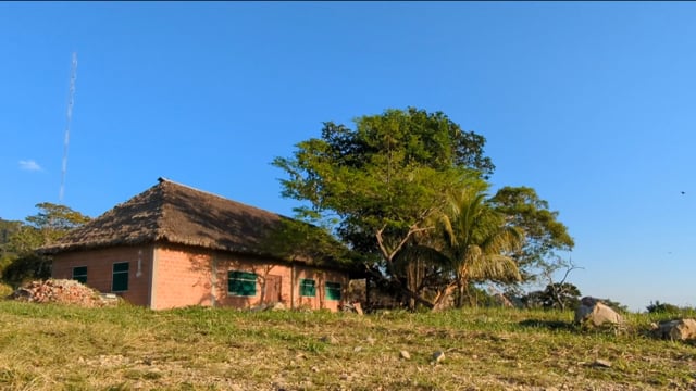 Tacanas weavers