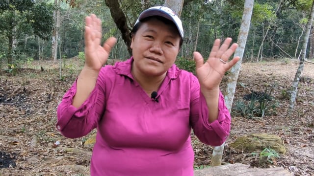 Ehuid’a (asaí) como un medio de vida para los tacanas