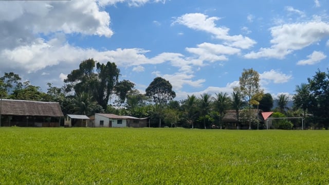 La pérdida de la lengua tacana