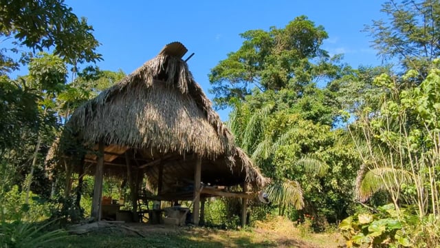 Tacanas women undertaking