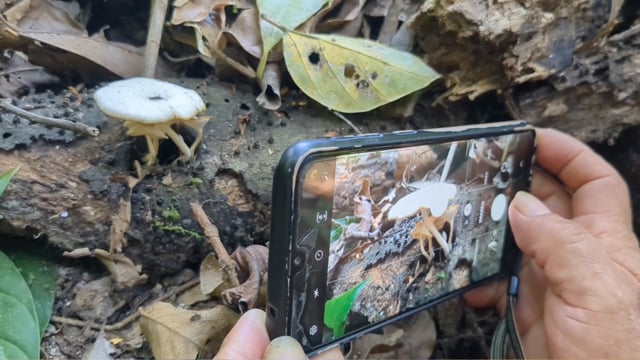 La vida de un guardaparque del Madidi