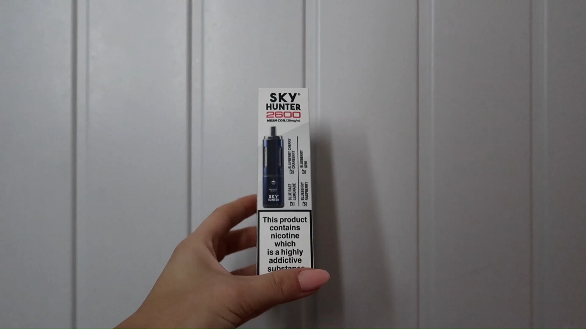 Sky Hunter 2600 Introduction