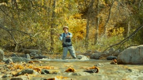 Related Embedded Video Item Thumbnail