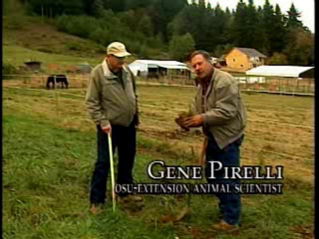 Pasture Management