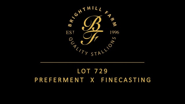 Lot 729