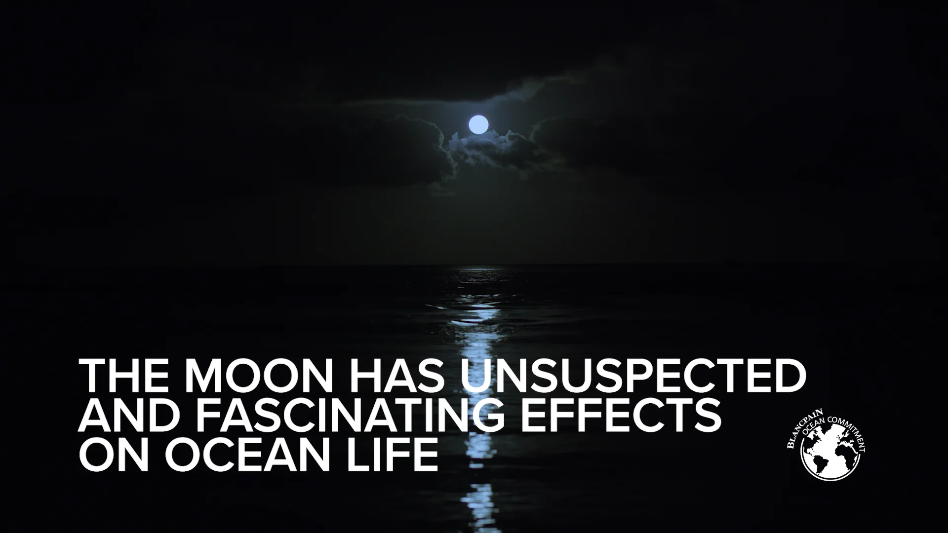 OCEAN OF STORMS | Blancpain OCEAN OF STORMS | Blancpain