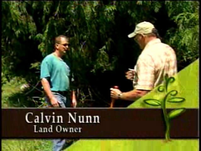 Weed Control: Pastures and Open Land