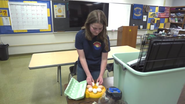 Ag Education SAE