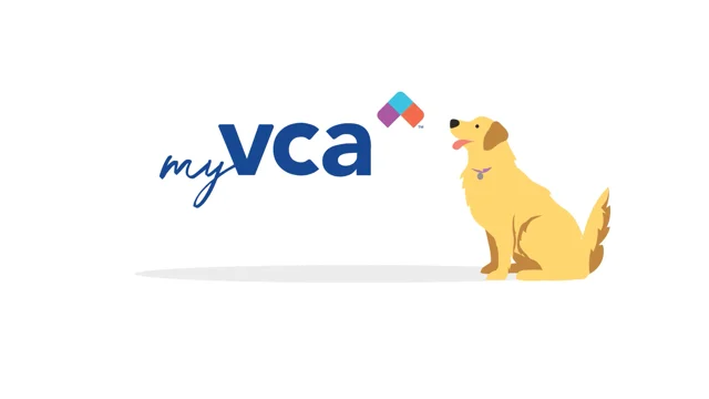 Vca 2024 animal hospital