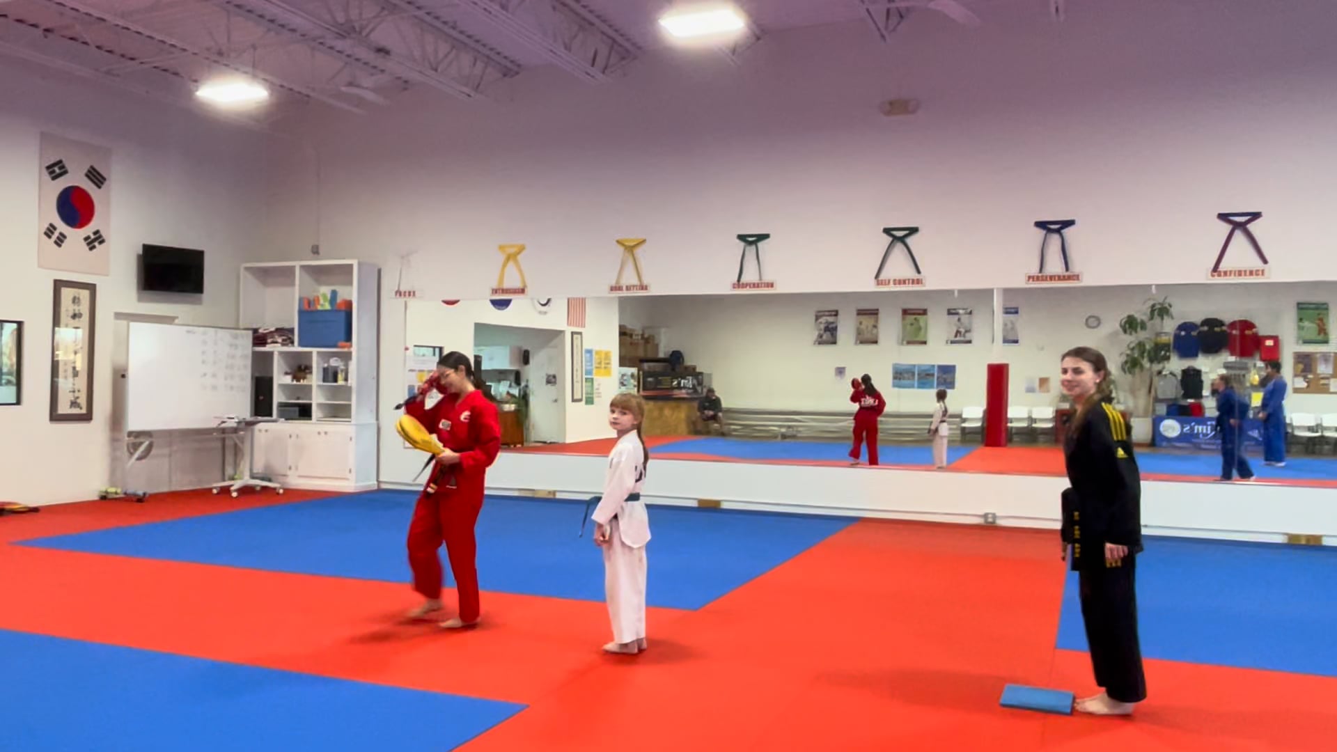 DST_Basic_Green Belt