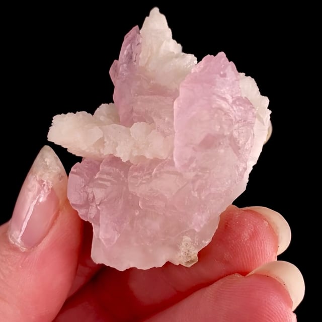 Quartz var: Rose with Albite